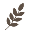 Icon - ein Blatt